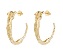 anna-nina-oorbellen-big-wild-arc-hoop-earrings