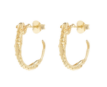 anna-nina-oorbellen-small-wild-arc-hoop-earrings-gold-plated