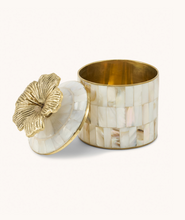 doing-goods-doos-hailey-hibiscus-circus-doosje