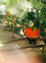 hkliving-bloempot-retro-flower-pot-cherry-red-hk