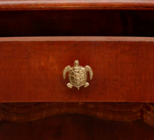 Doing Goods Knop Schildpad Tommy Turtle Knob