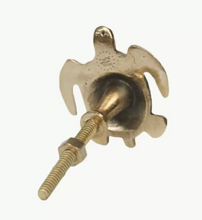 Doing Goods Knop Schildpad Tommy Turtle Knob
