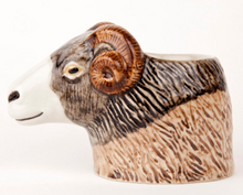 Quail Ceramics Eierdop Schaap Swaledale Egg Cup Ram