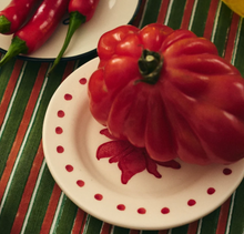 anna-nina-bord-schotel-fiorita-dessert-plate