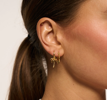 anna-nina-oorbel-single-palmier-ring-earring-gold-plated