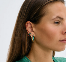 anna-nina-oorbellen-bird-of-paradise-hoop-earrings-gold-plated