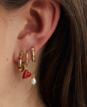 anna-nina-oorbellen-dangling-treasure-hoop-earrings-goldplated