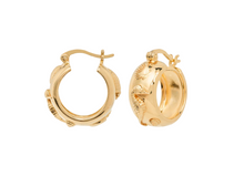 anna-nina-oorbellen-sable-hoop-earrings-gold-plated