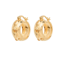 anna-nina-oorbellen-sable-hoop-earrings-gold-plated