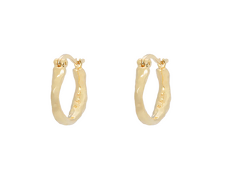 anna-nina-oorbellen-small-organic-hoop-earrings-goldplated