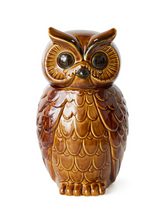 hkliving-voorraadpot-uil-ceramic-owl-jar-roasted