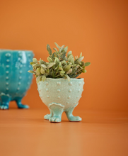 rice-vaas-aardewerk-bloempot-met-voetjes-mint